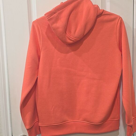 Carhartt Relaxed Fit Midweight Logo Sleeve Graphic Hoodie- Bittersweet - Picture 8 of 8